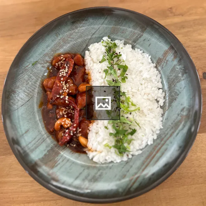 Round teal plate with rice and chicken