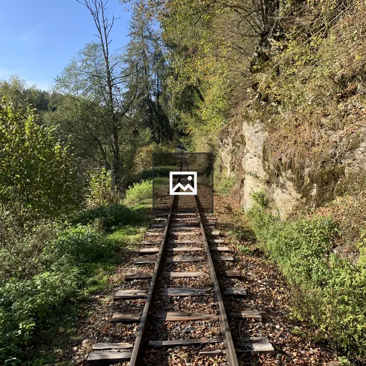 Narrow rail track in Slovakia