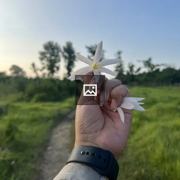 Hand Holding White Flower
