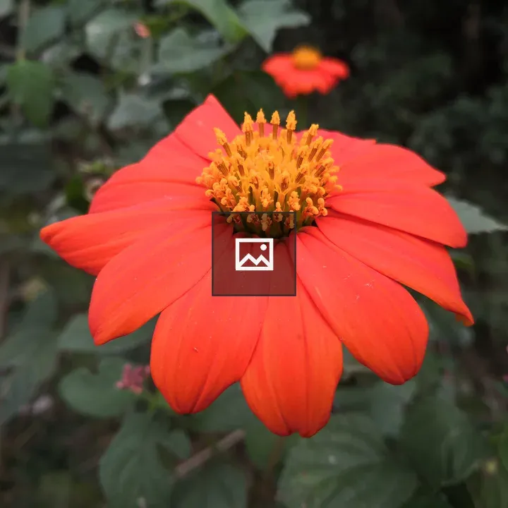 Mysterious flower with green and red hues