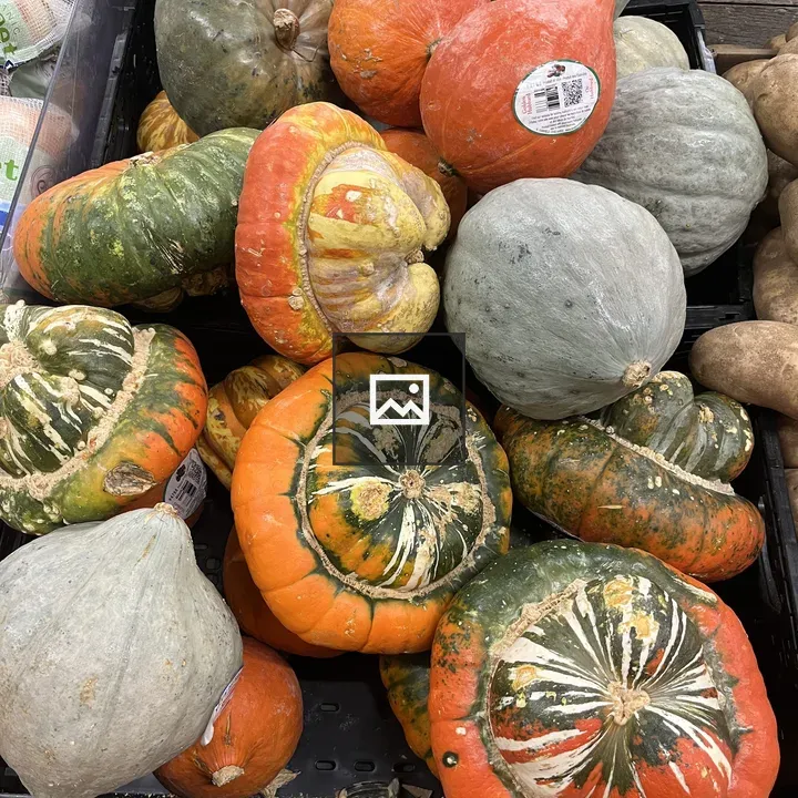 Autumn gourds in a pile
