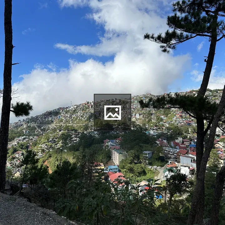 Hillside City with Pine Forest