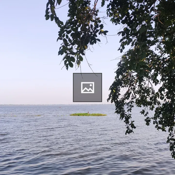 Leaves and Sky over Water