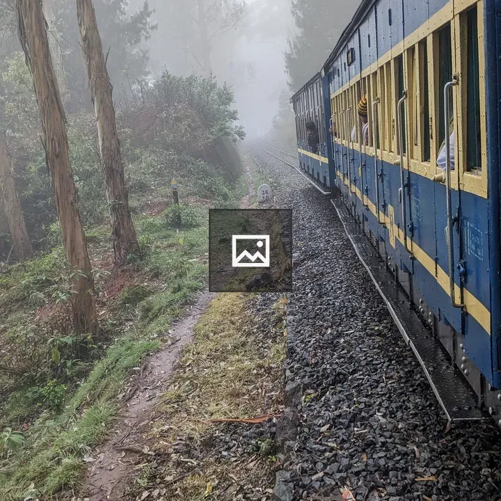 Misty Train Landscape
