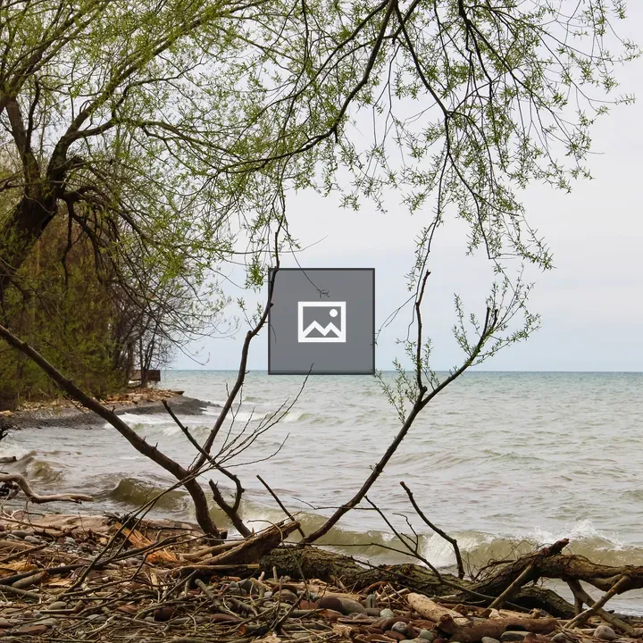 Shore of Lake Ontario shoreline
