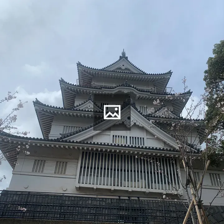 Japanese castle with cherry blossoms