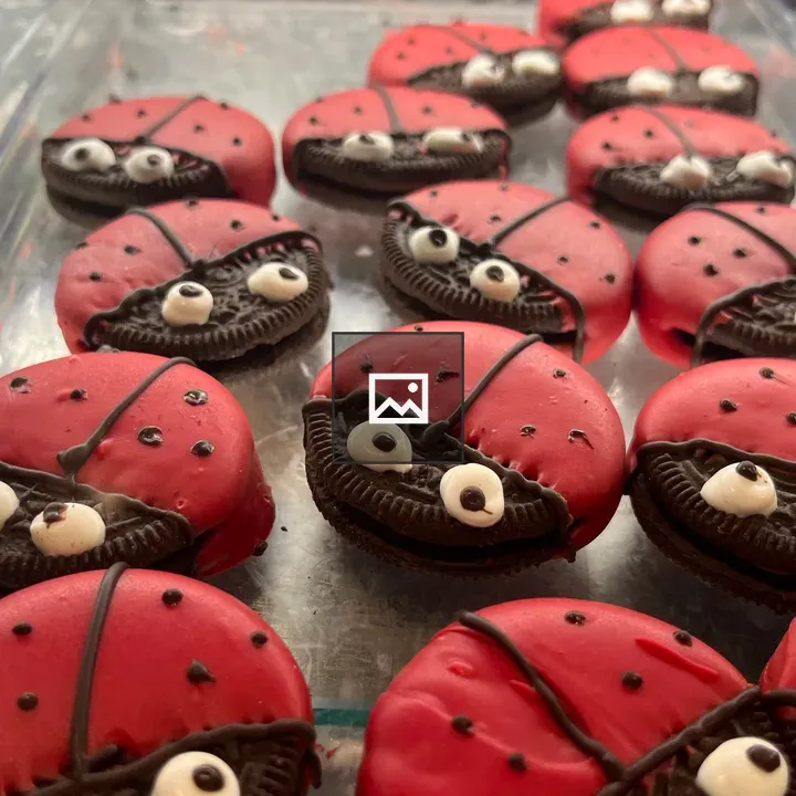 Chocolate lady bugs