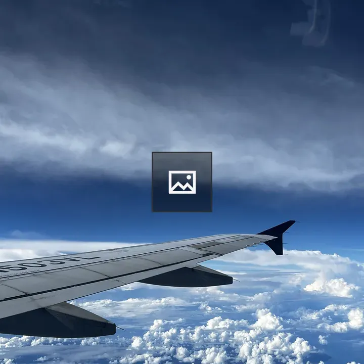 View from the plane