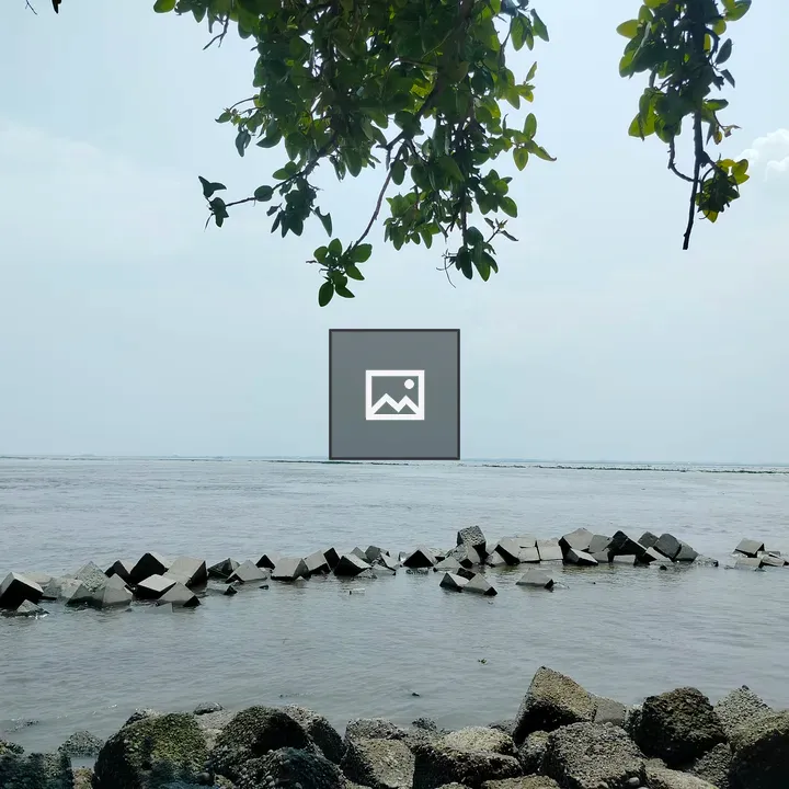Coastal scene with concrete blocks