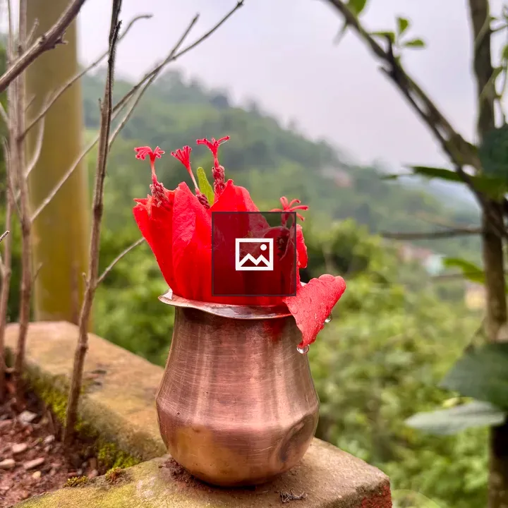 Copper pot with red flowers