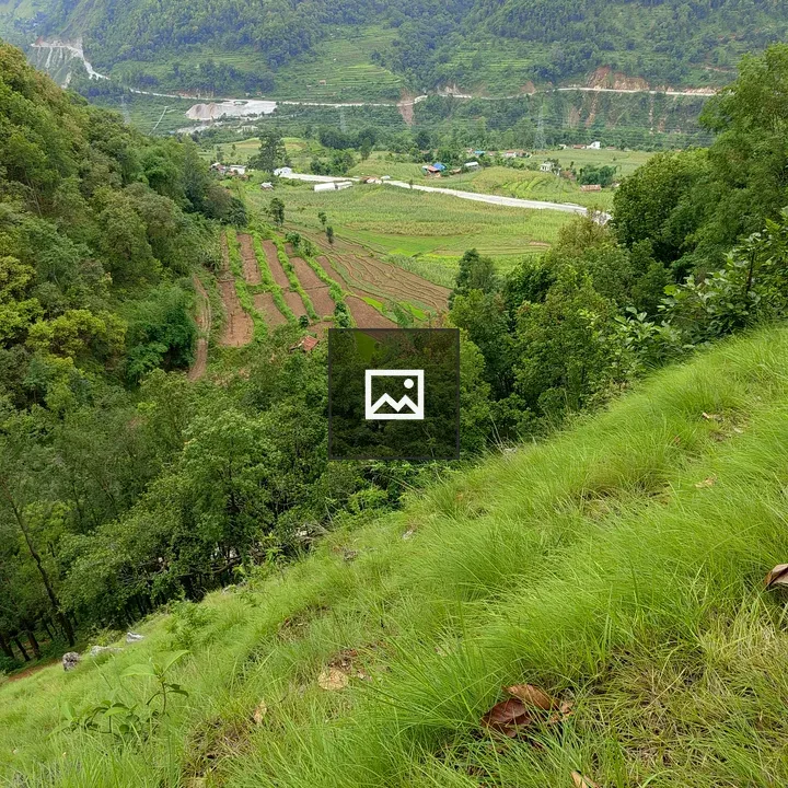 Terraced hillside farmland