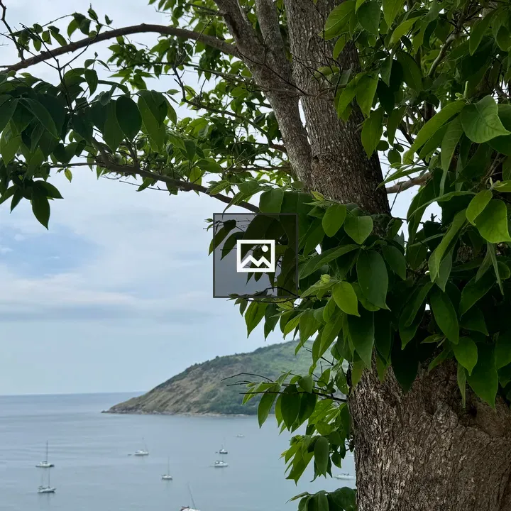 Tree trunk with leafy frame over bay