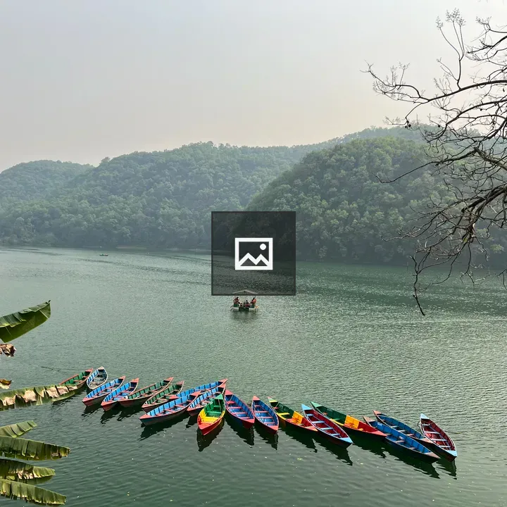 Pond scene with boats and banana plant