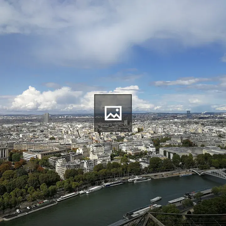 Birds-eye View of Paris Skyline