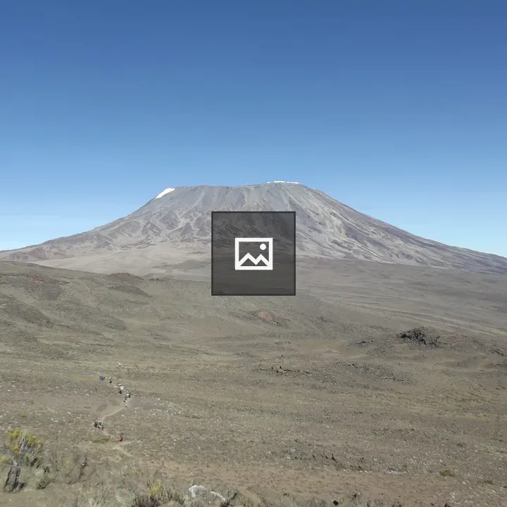 Kilimanjaro Landscape