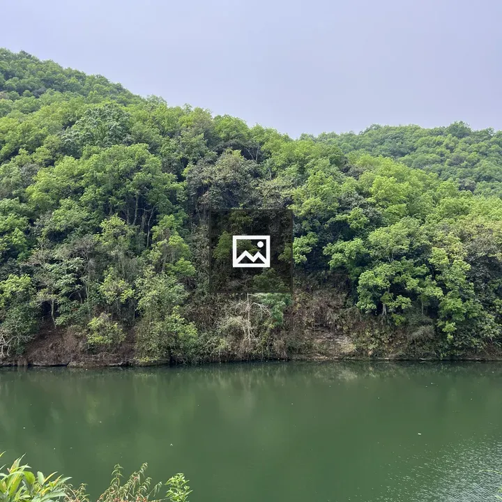 Green Hill Landscape