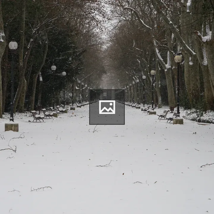 Central snow-covered walkway in Campo Grande