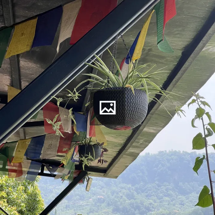 Hanging plant basket with prayer flags
