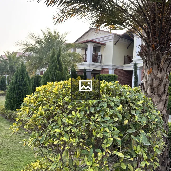 Landscaped garden greenery with shrubs