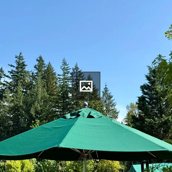 Green Patio Umbrella in Shade