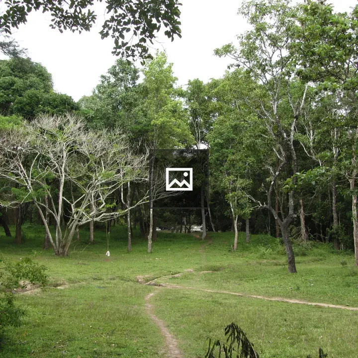 View of Wayanad Wildlife Sanctuary from Ponkuzhi