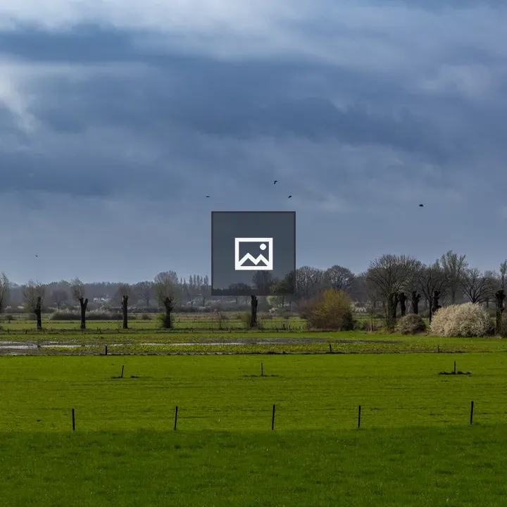Polder landscape with bloom