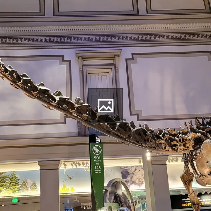 Brachiosaurus skeleton at Smithsonian