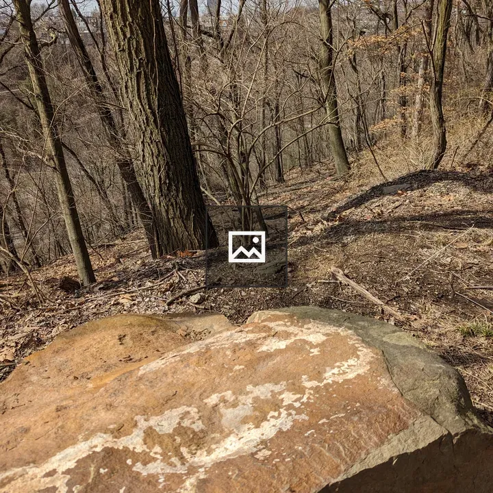 Rock in the Woods