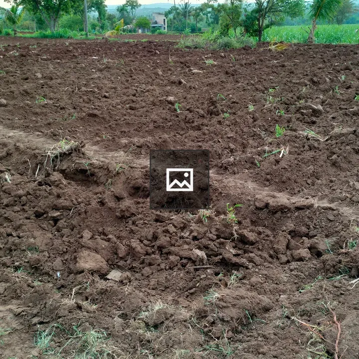 Plowed field with trees in background
