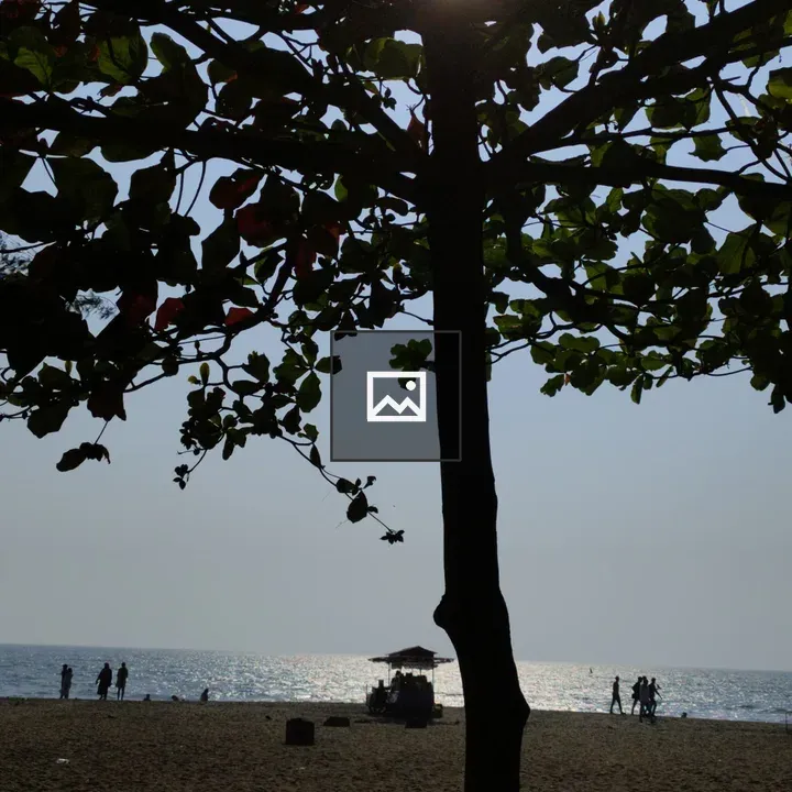 Beach silhouettes at waterline
