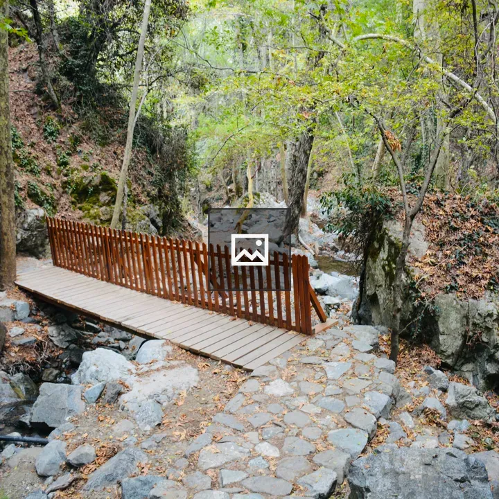 Wooden bridge over rocky stream