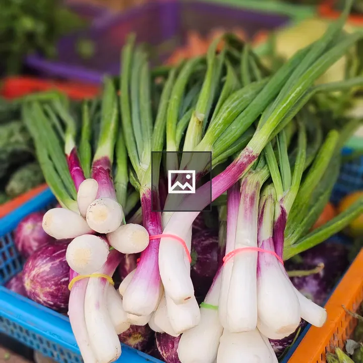 Fresh spring onions in basket