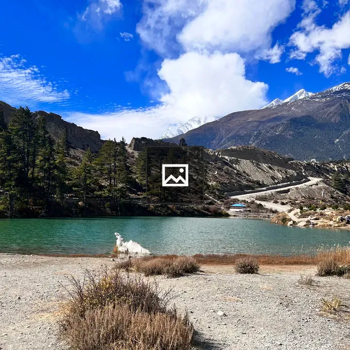 Turquoise Dumba Lake Landscape
