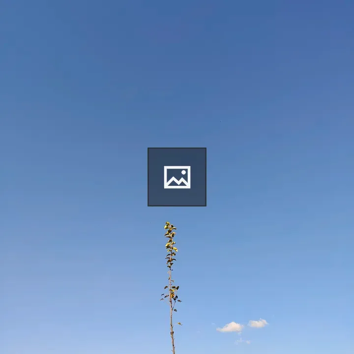 Tall plant against blue sky