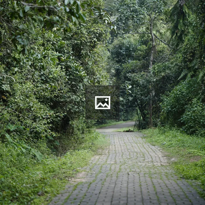 Walkway in Wayanad
