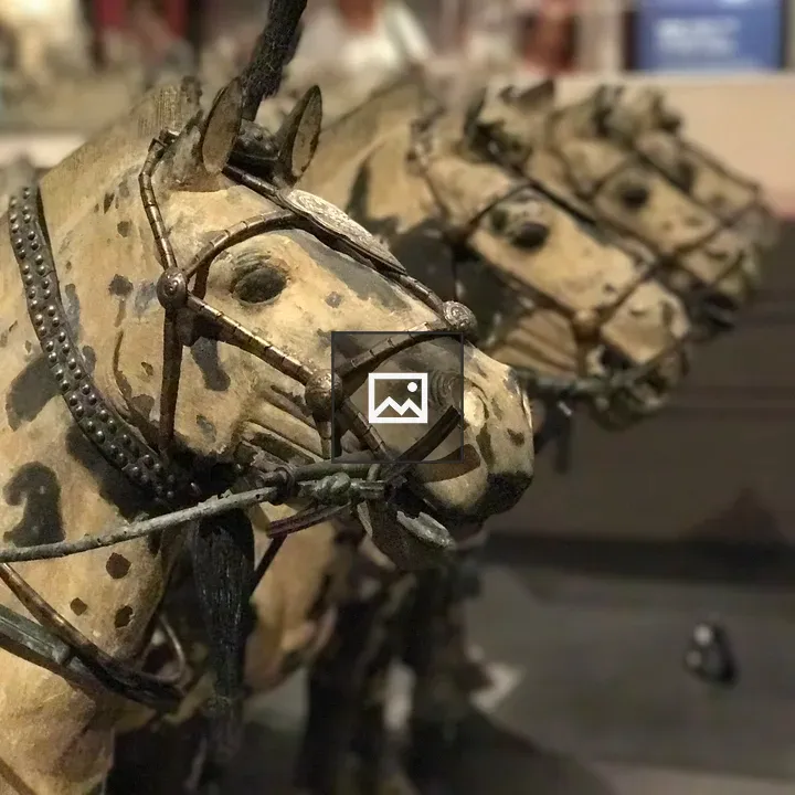 Row of horse statues exhibit