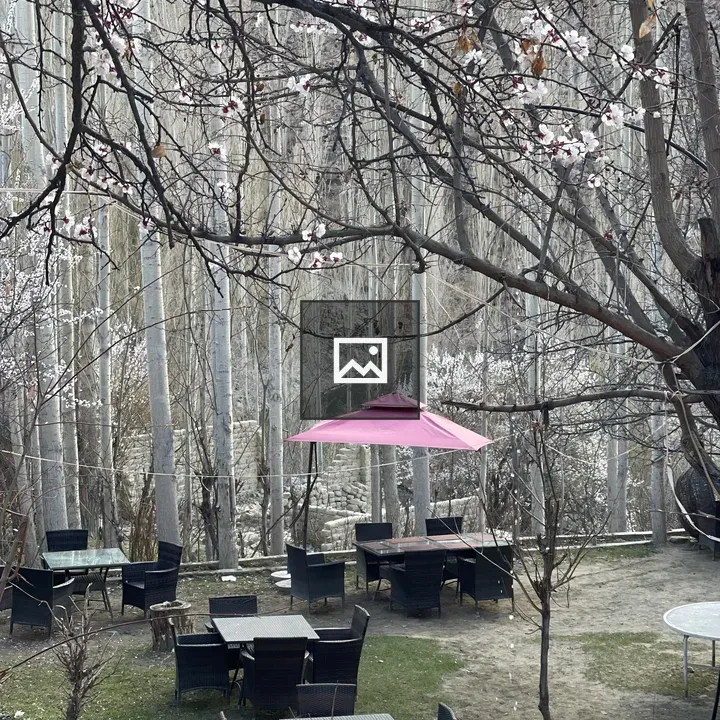 Quiet outdoor seating among trees