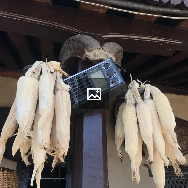 Dried corn cobs with vintage items