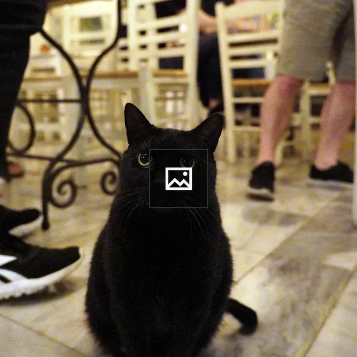 Black cat on tiled restaurant floor