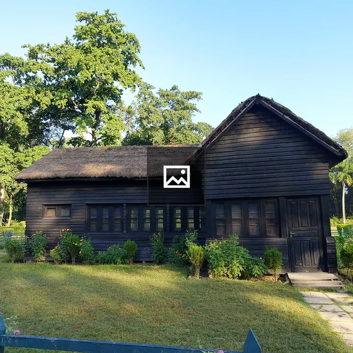 Thatched Cottage in Yard
