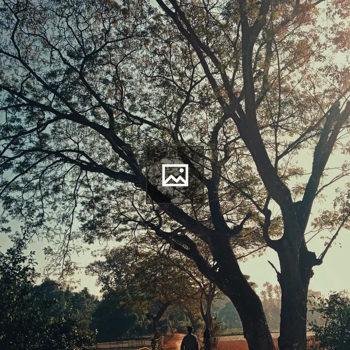 A tree signature with nature