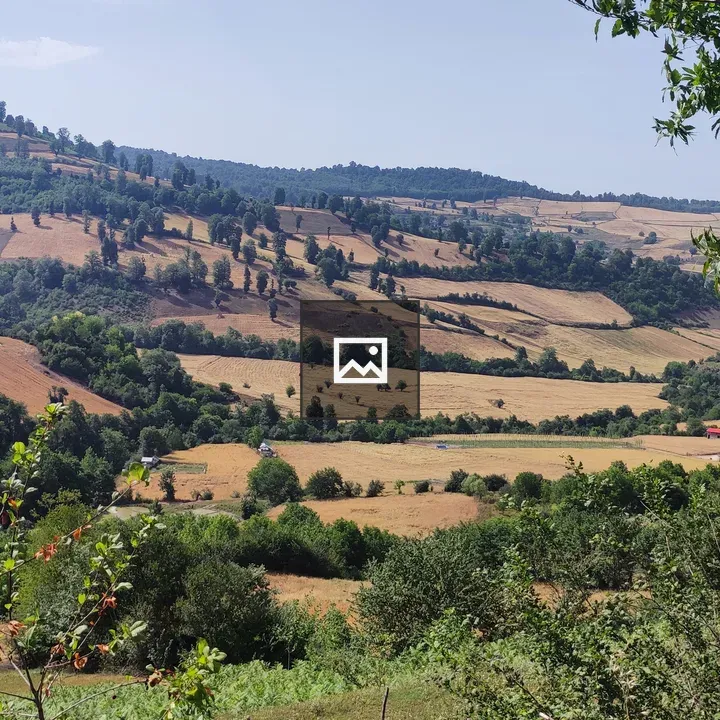 Panoramic Hills Landscape