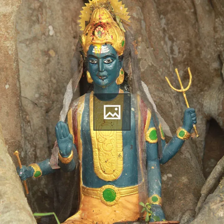 Colorful deity statue among roots