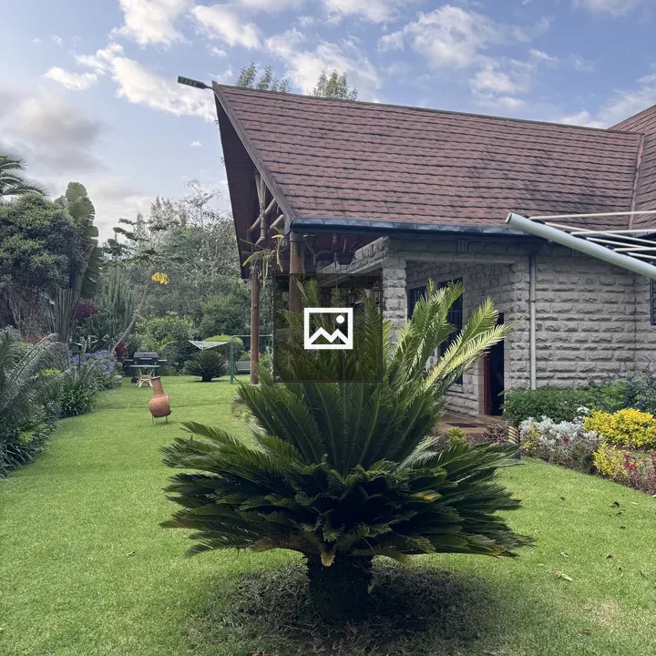 Bushy Green Plant in Garden