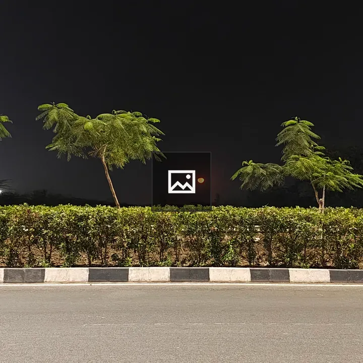 Night street with hedges and trees