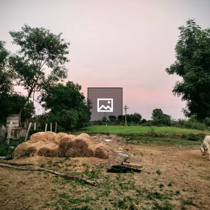 Country side farm fields