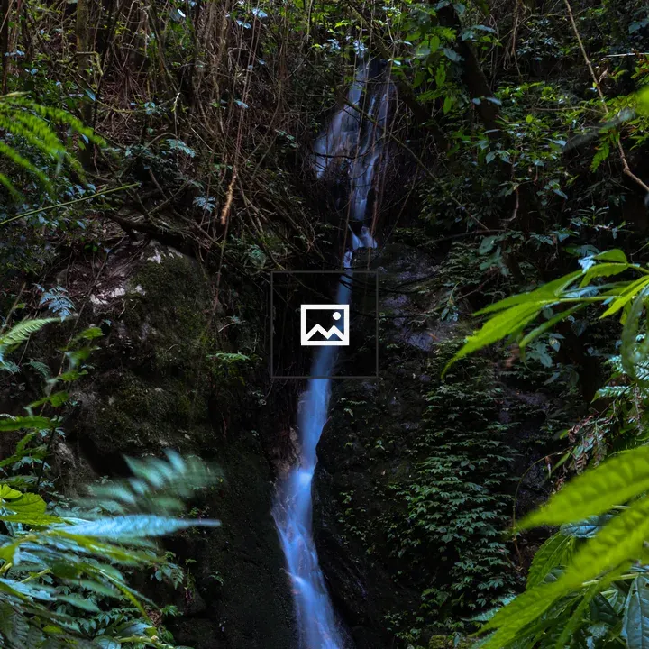 Small waterfall in forest