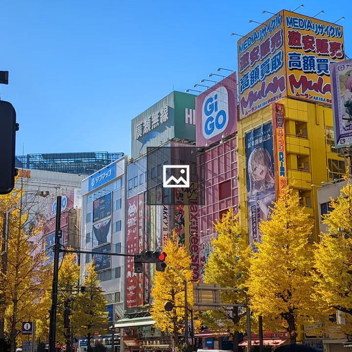 Building in Akihabara with Anime Designs