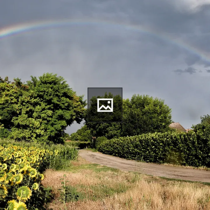 Alibunar Landscape with Rainbow