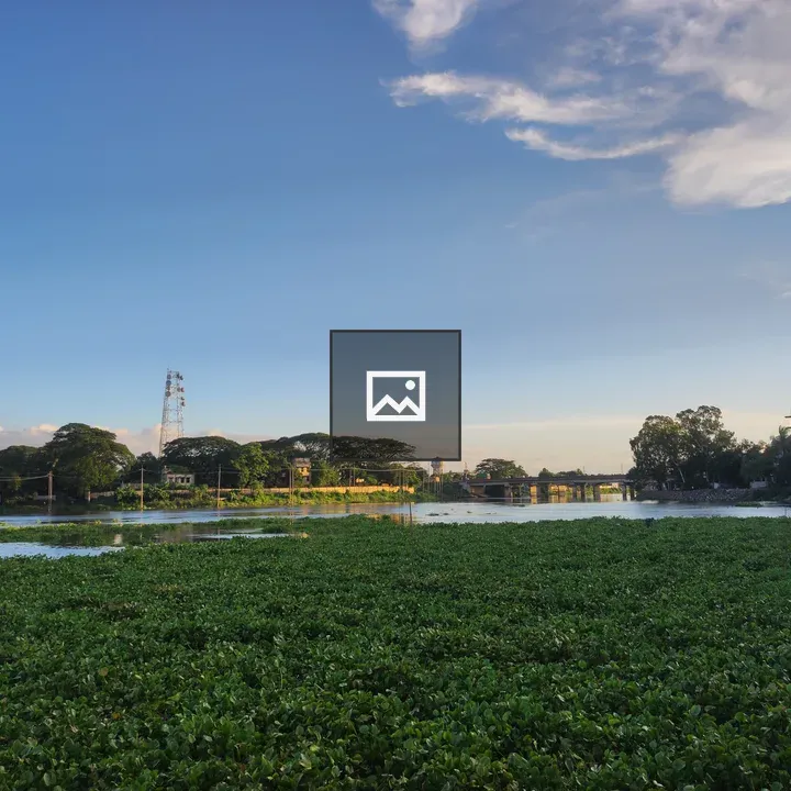 River Landscape with Green Aquatic Plants
